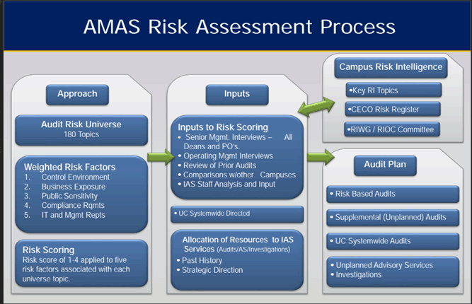 AMAS Risk Assessment Process